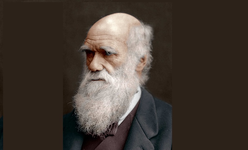 Hoy se celebra el Día de Darwin