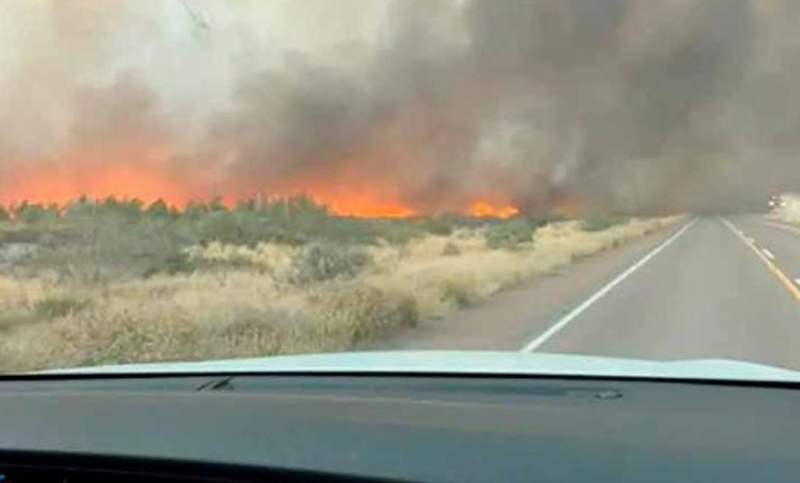 Importante incendio forestal en inmediaciones de Puerto Madryn