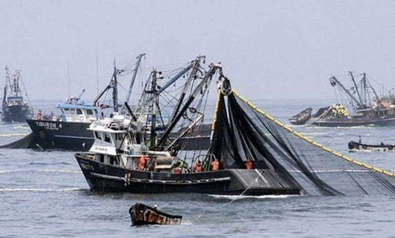 Cerca de 95 barcos fueron avistados pescando en mar territorial argentino