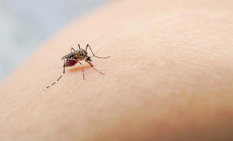 El dengue gana terreno en el barrio UOM de Casilda