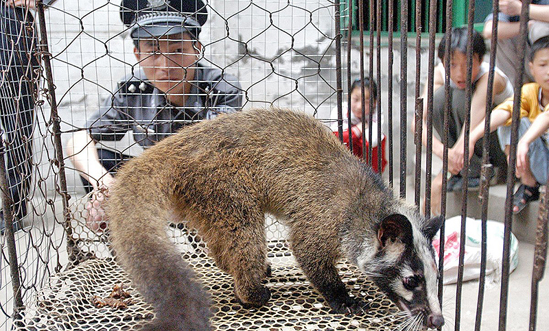 Reafirman la prohibición de venta y consumo de animales salvajes en Wuhan