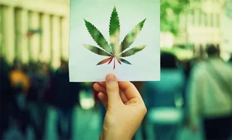 Marcha “virtual” pidió “criterios de salud pública” para regular la marihuana