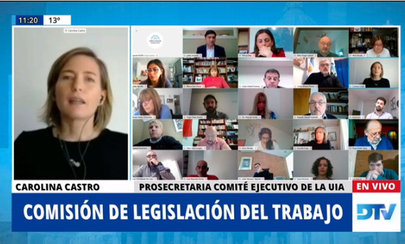 Teletrabajo: empresarios llevaron propuestas ante la Comisión de Trabajo en Diputados