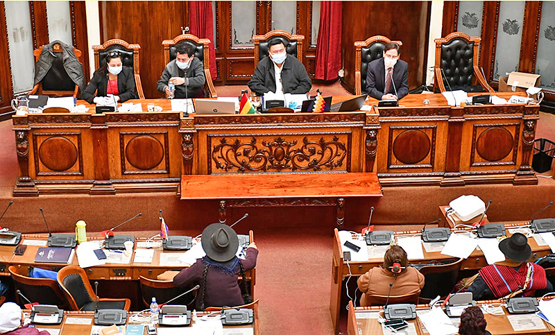El Congreso de Bolivia aprobó la ley para celebrar las elecciones generales el 6 de septiembre