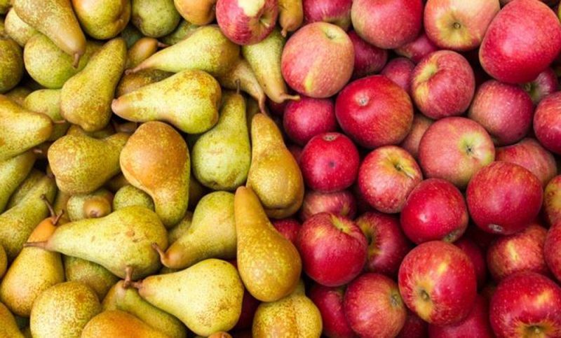 Se registraron aumentos en la exportación de peras y manzanas