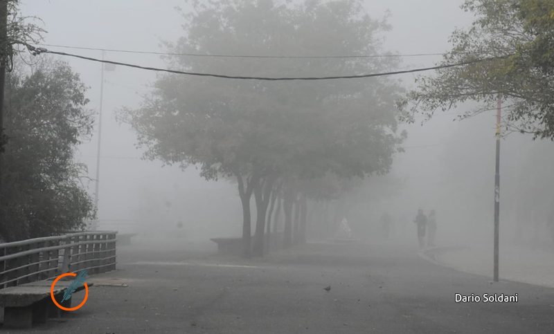 Otra jornada gris, húmeda y con niebla en Rosario