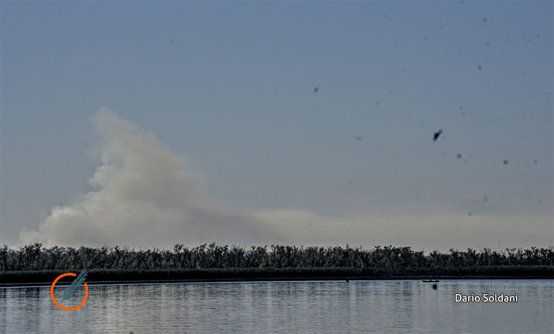 Quema de pastizales en las islas y Rosario otra vez bajo el humo: la Justicia en la mira