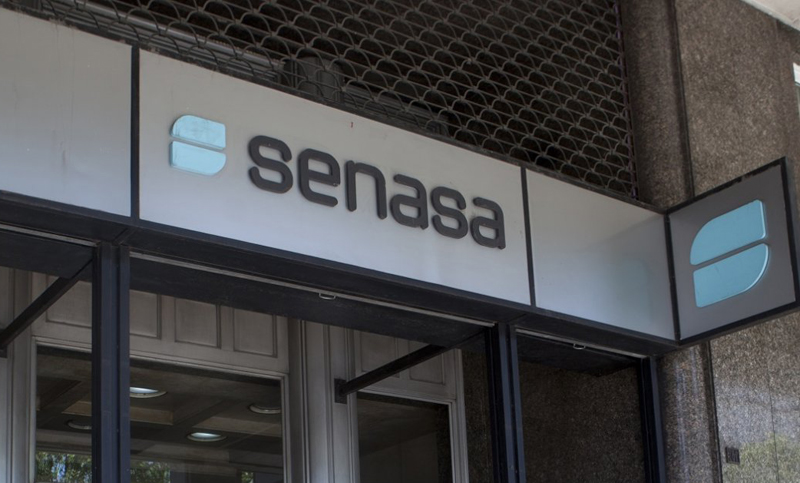 Trabajadores del Senasa paran en todo el país tres días por varias reivindicaciones