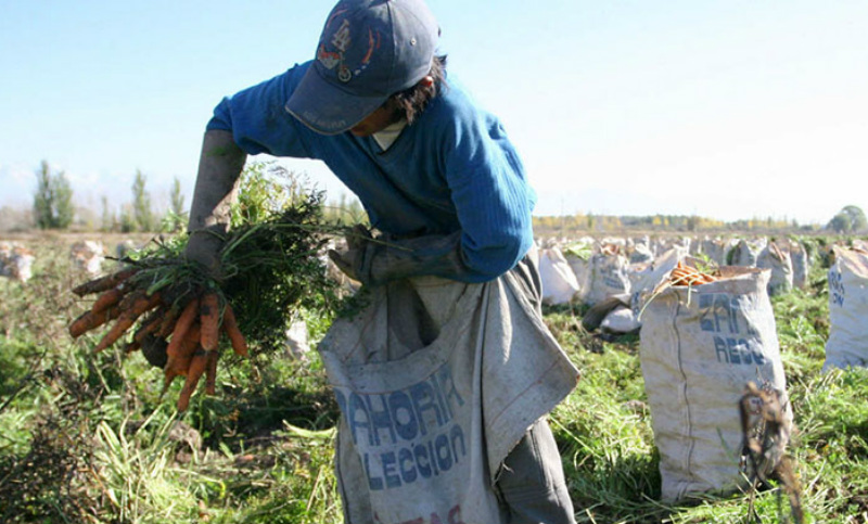En el último año y medio se detectaron 444 trabajadores rurales en situación de explotación