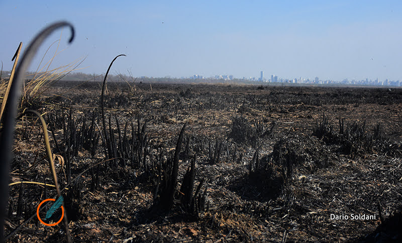 El desolador panorama que el fuego dejó en las islas del Paraná 