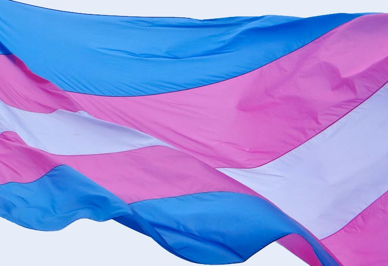 El cupo laboral travesti trans tiene consenso federal