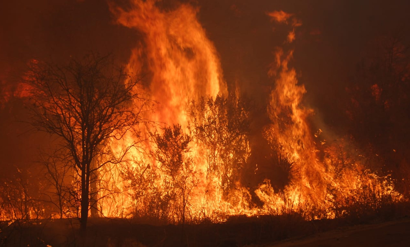 El gobierno nacional emitirá partes diarios sobre los incendios en las provincias