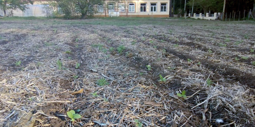 La Defensoría del Pueblo de Buenos Aires exige al municipio de Tandil el control de las fumigaciones con agrotóxicos