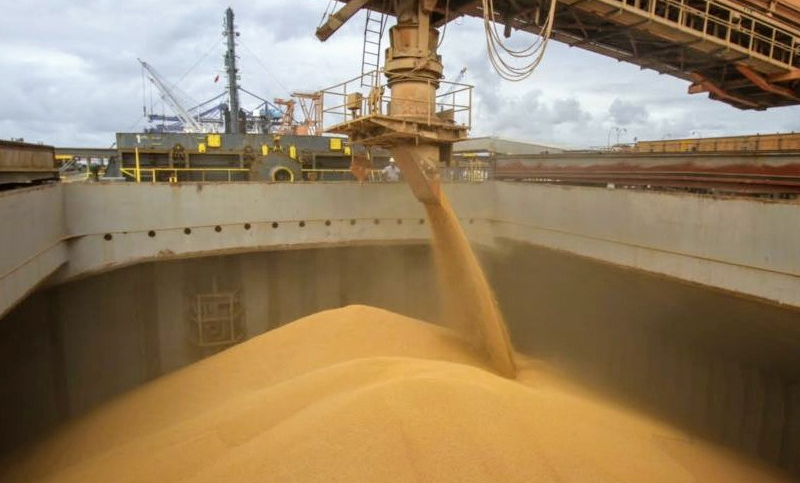 Recibidores de granos suspenderán por 24 horas las actividades en puertos privados de todo el país