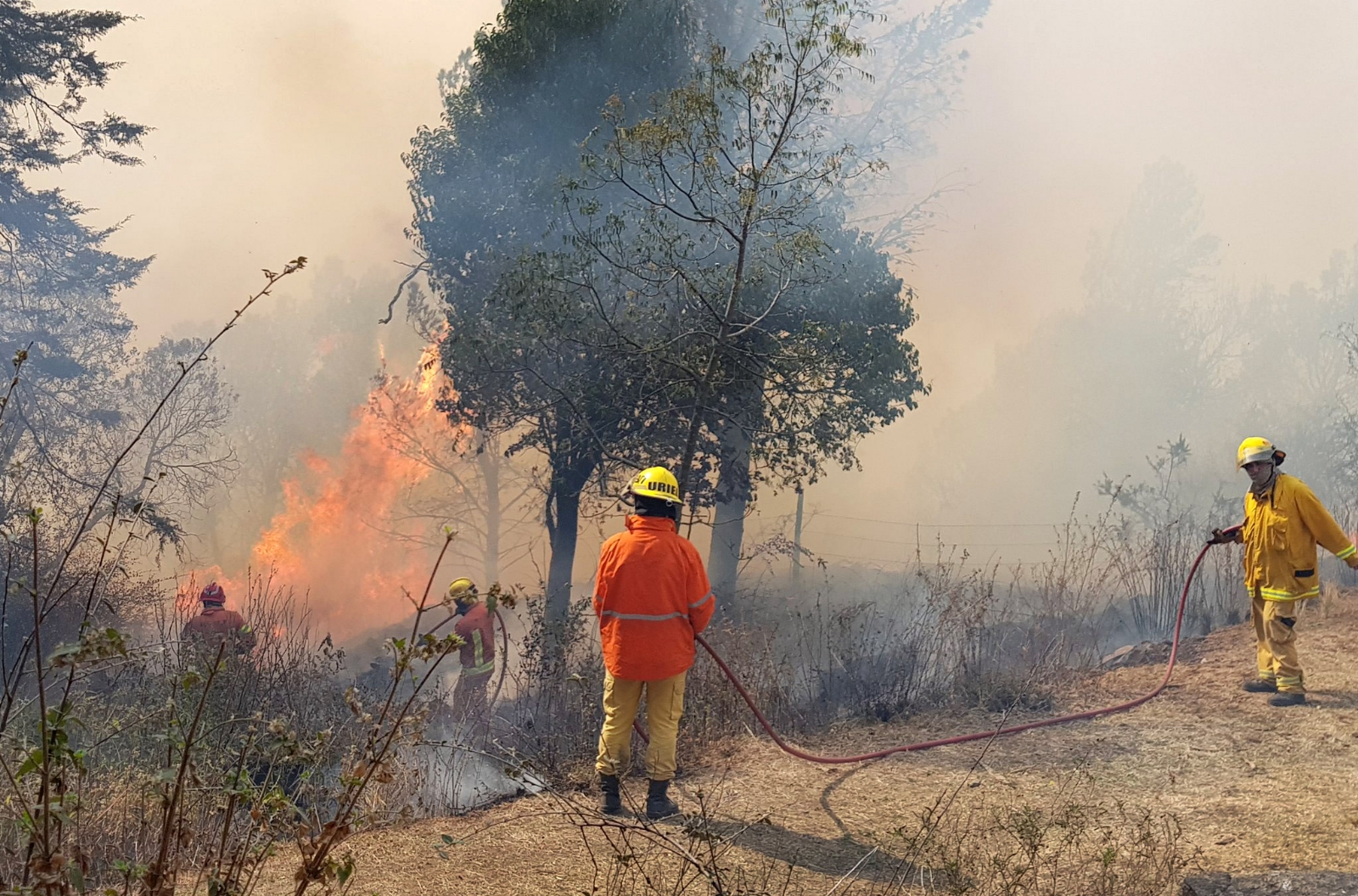 Varias dotaciones de bomberos combaten dos focos de incendio en San Luis