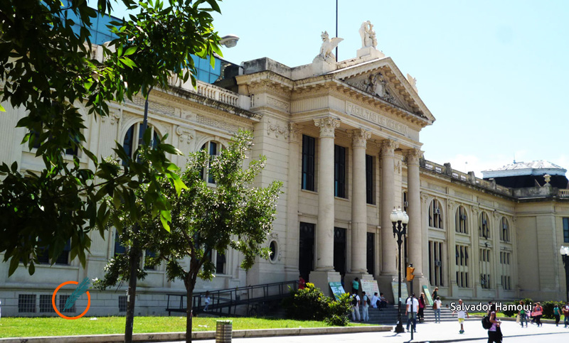 La Universidad de Rosario dictará un preuniversitario virtual para todos sus ingresantes