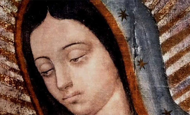 Las 13 figuras en los Ojos de la Virgen de Guadalupe