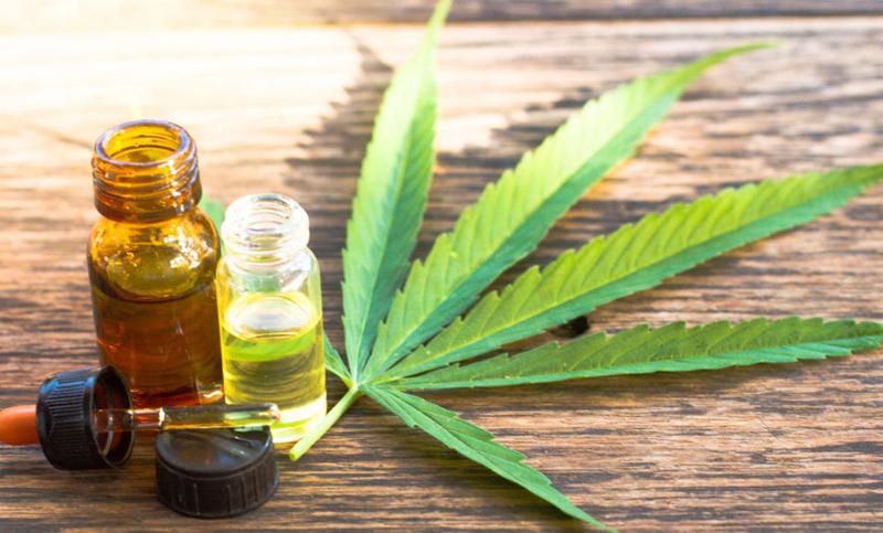 El Concejo aprobó la creación de un Registro de Cultivos Terapéuticos de Cannabis