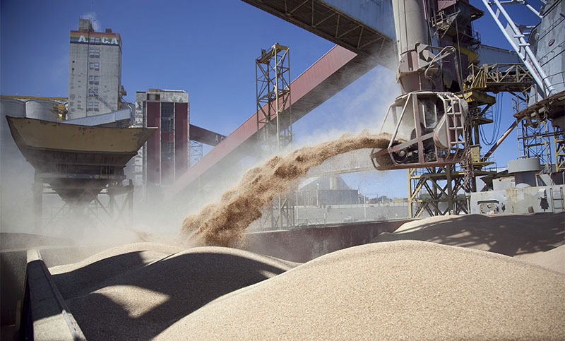 Firma china incrementa la compra de soja y derivados en el país