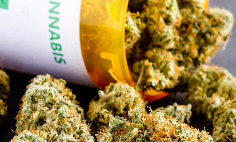 Lanzan la primera encuesta sobre uso de cannabis en Argentina