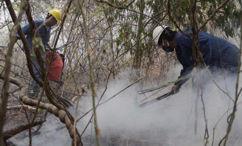 Jujuy, Córdoba, La Pampa y Corrientes mantienen focos activos de incendios