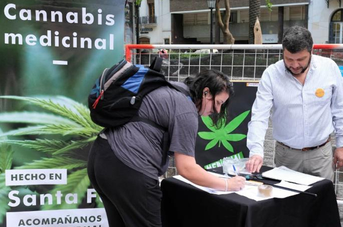 Cannabis medicinal: «Este decreto revitaliza la ley y la pone en otros términos»
