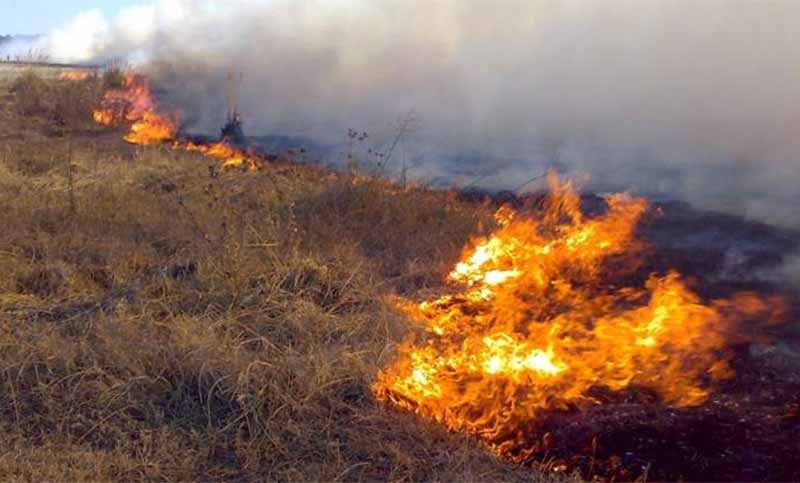 Cuatro provincias continúan con focos activos de incendios forestales
