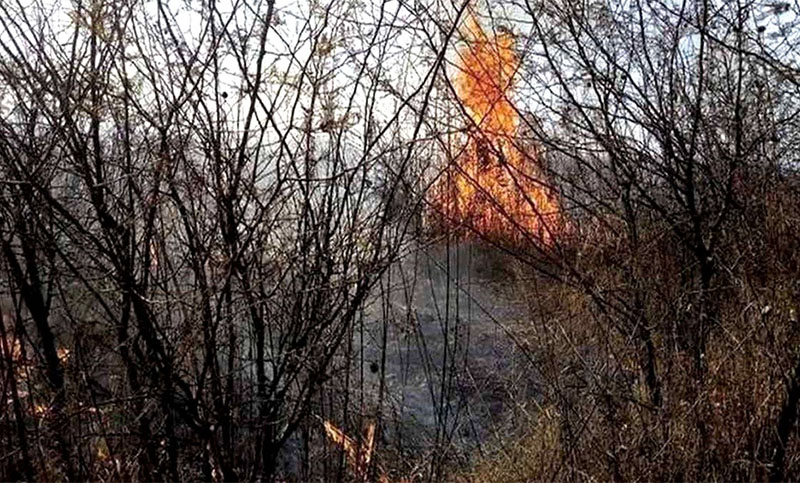 Jujuy, Entre Ríos y Corrientes con focos activos de incendio forestales