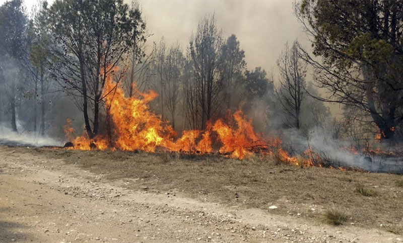 Incendios forestales: siete provincias continúan afectadas