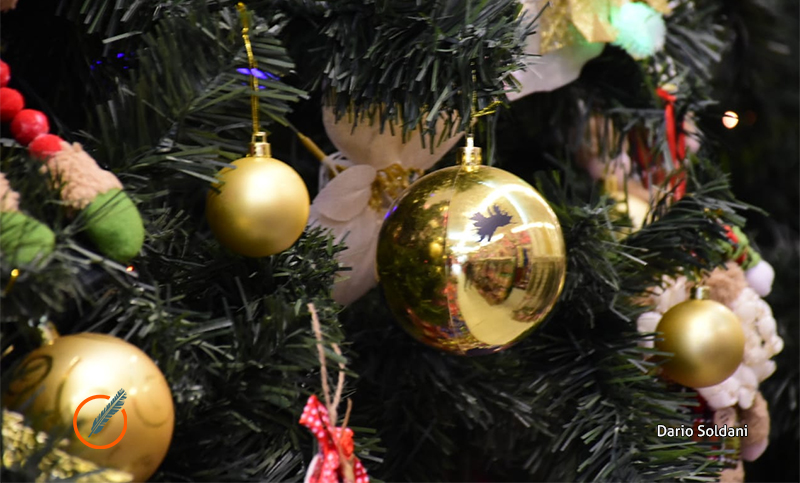 Precios navideños: árboles, luces y adornos registraron aumentos