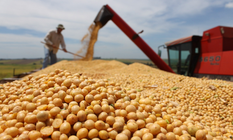 El Gobierno destina $11.500 millones para compensar a productores pyme de soja