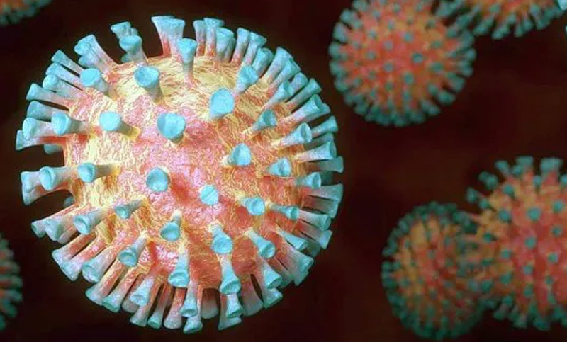 Identifican moléculas del coronavirus que impactan en el desarrollo y progresión de la enfermedad