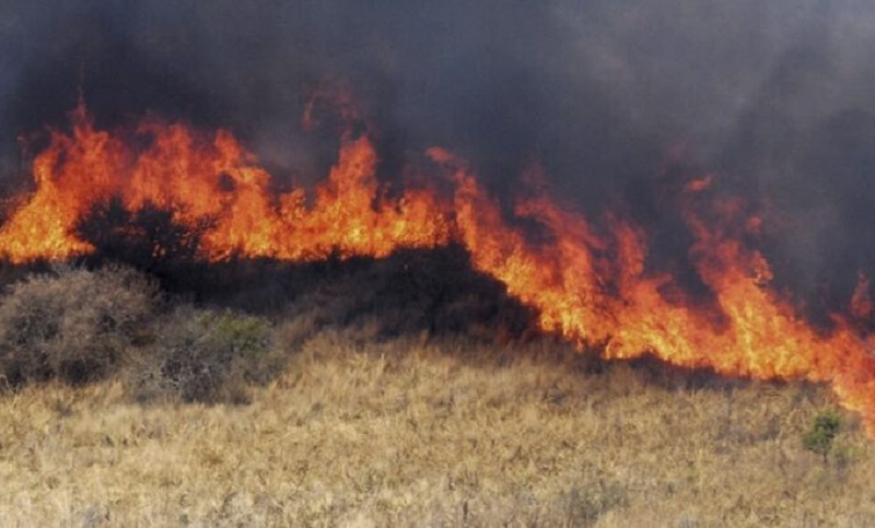 Neuquén, Mendoza, Buenos Aires y Jujuy registran focos de incendio activos 
