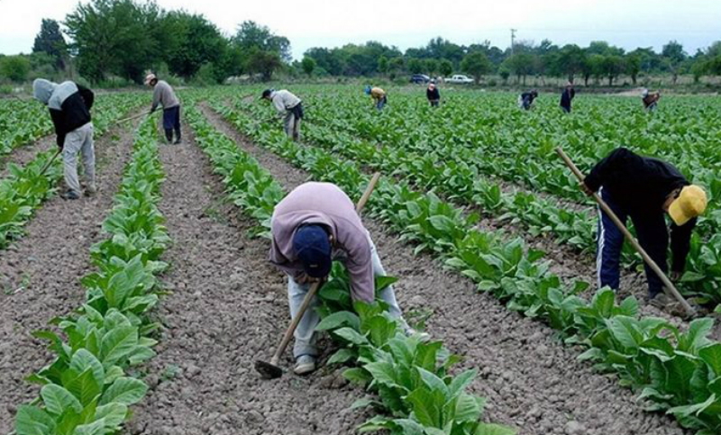 Trabajadores rurales cobrarán un bono de 10.000 pesos en tres cuotas