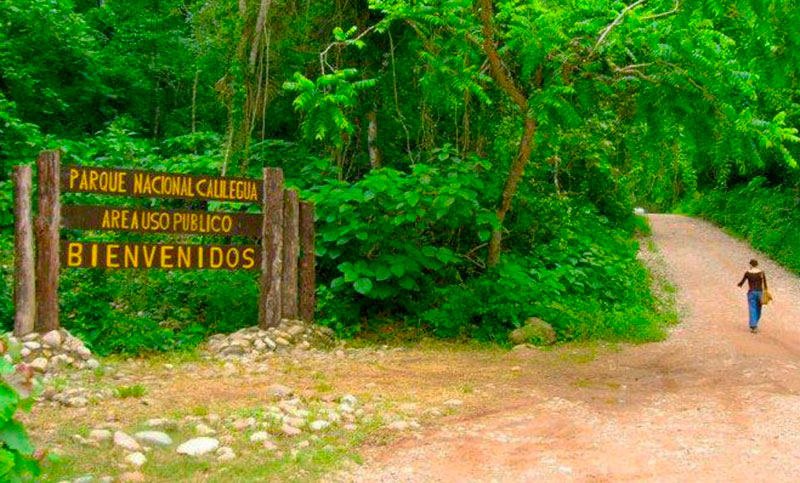 Reabre el Parque Nacional Calilegua para actividades de senderismo
