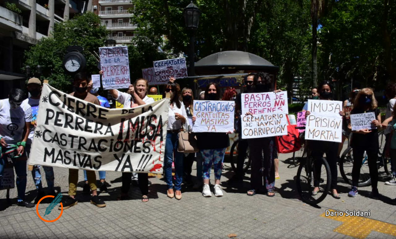 Proteccionistas y animalistas exigen que el Imusa “funcione como un centro de salud y no como un calabozo”