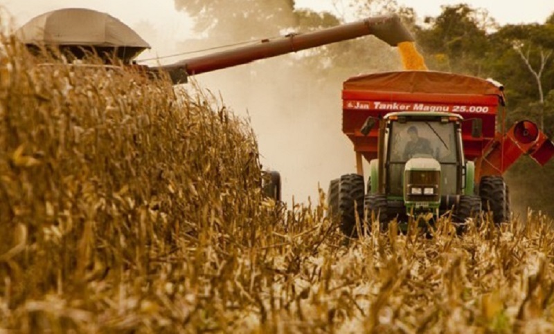En rechazo al cierre de exportaciones de maíz, no se comercializarán granos por 72 horas