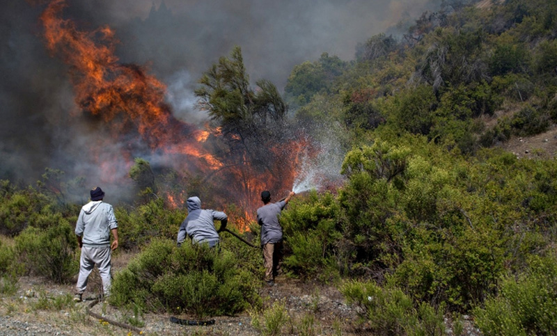 El daño ambiental en El Bolsón por el incendio forestal ya es el «más grande de la historia» en Río Negro