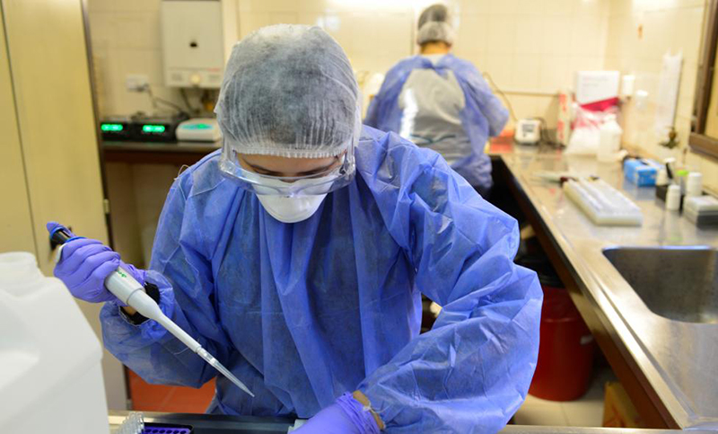 Reportaron 10.409 nuevos casos y 219 muertes por coronavirus en el país