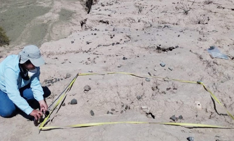 San Juan: encuentran restos que podrían ser de una tumba de principios del Período Tardío