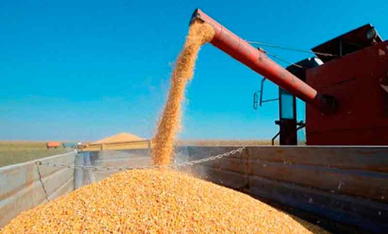 El Gobierno anunció una reapertura parcial de las exportaciones de maíz