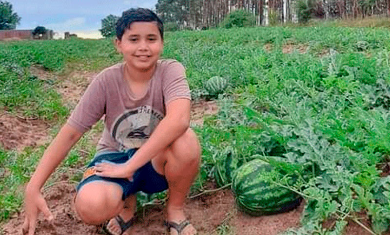 Un niño entrerriano de 11 años plantó sandías y cumplió su sueño