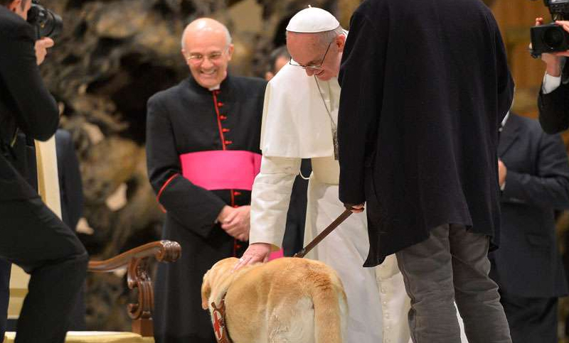 Piden al Papa que derogue una norma de 1976 que prohíbe mascotas en propiedades del Vaticano
