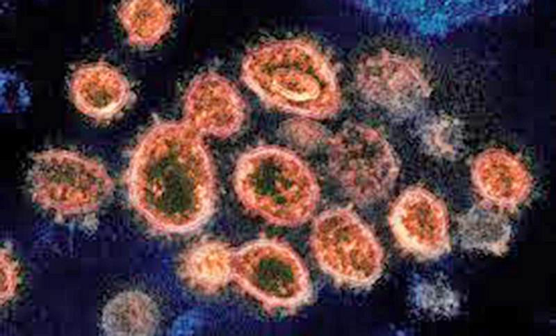 Una nueva cepa de coronavirus fue descubierta en Dinamarca, Reino Unido y otros ocho países