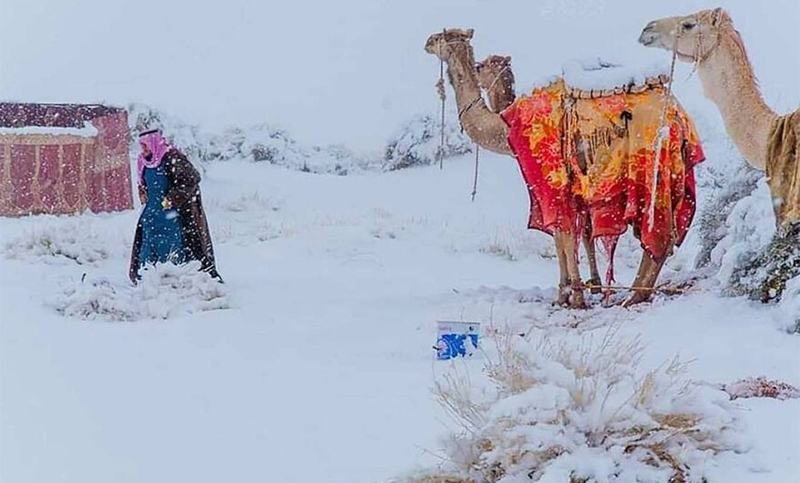 Nieve en el desierto: otro extraño fenómeno de la época en Arabia Saudita