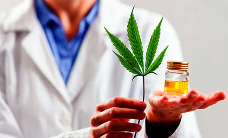 UNR: continúa la inscripción para el curso de posgrado “Abordaje integral de la planta de Cannabis para la Salud”