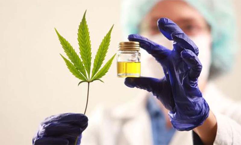 El Gobierno reglamentó el registro de autocultivo de cannabis medicinal