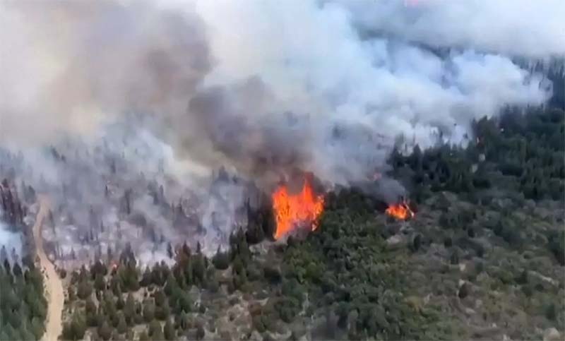 Se registran focos activos de incendios forestales en cinco provincias del país