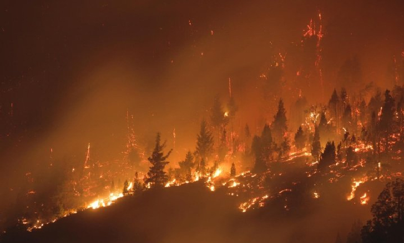 Los incendios forestales que afectan a la Patagonia continúan activos