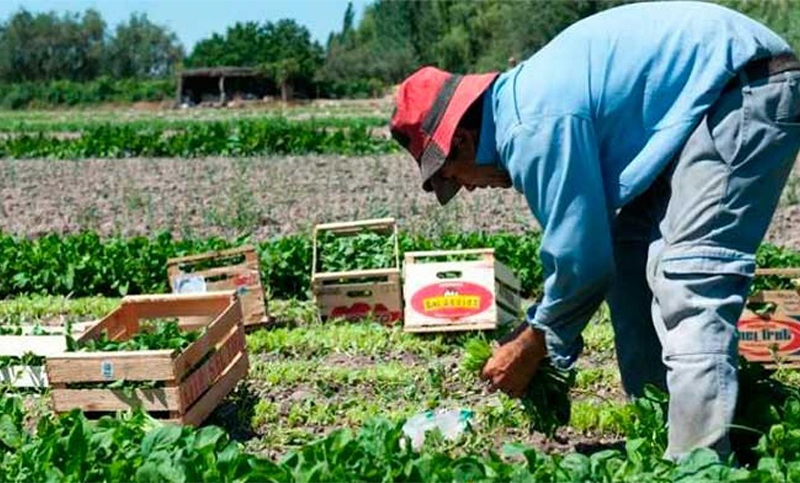 La Federación de Cooperativas Federadas pide «más Estado» para regular el precio de los alimentos